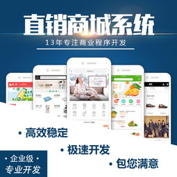 软件开发与供应 批发合作模式探析